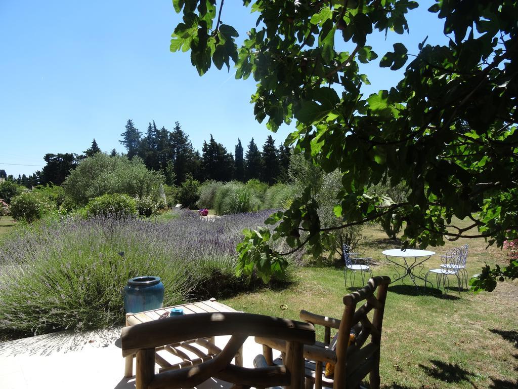 Le Nid De La Huppe Villa Noves Exterior photo